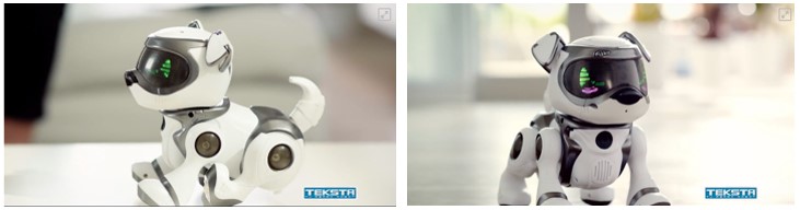 Imagen de frente y de perfil del perro robot para niños Teksta