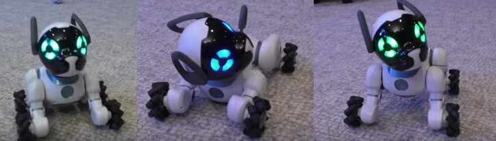 3 imágenes de cómo obedece comandos un perro robot para niños
