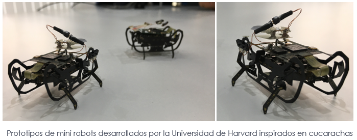 Prototipo de cucarachas robóticas desarrolladas por la Universidad de Harvard